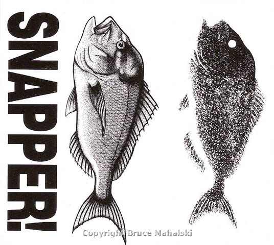 005 - Snapper 2